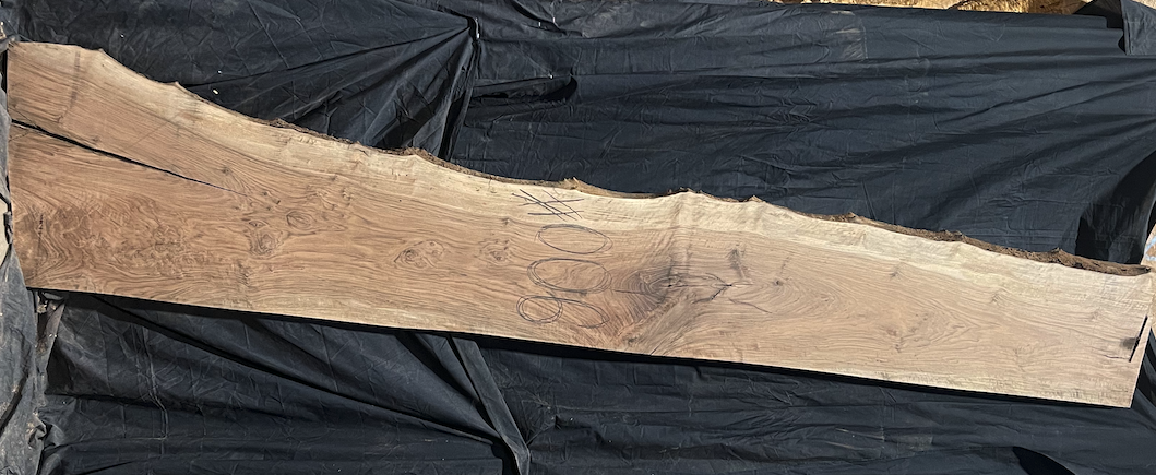 Bastogne Walnut 10/4 Live Edge #006