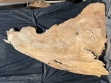 Sycamore Burl 12/4 Live Edge #003
