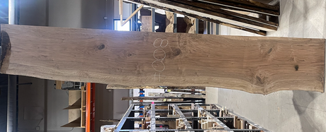 Bastogne Walnut 10/4 Live Edge #008
