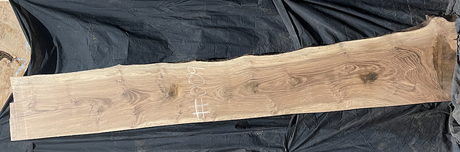 Bastogne Walnut 10/4 Live Edge #009