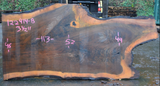 Black Walnut Live Edge #122414-9