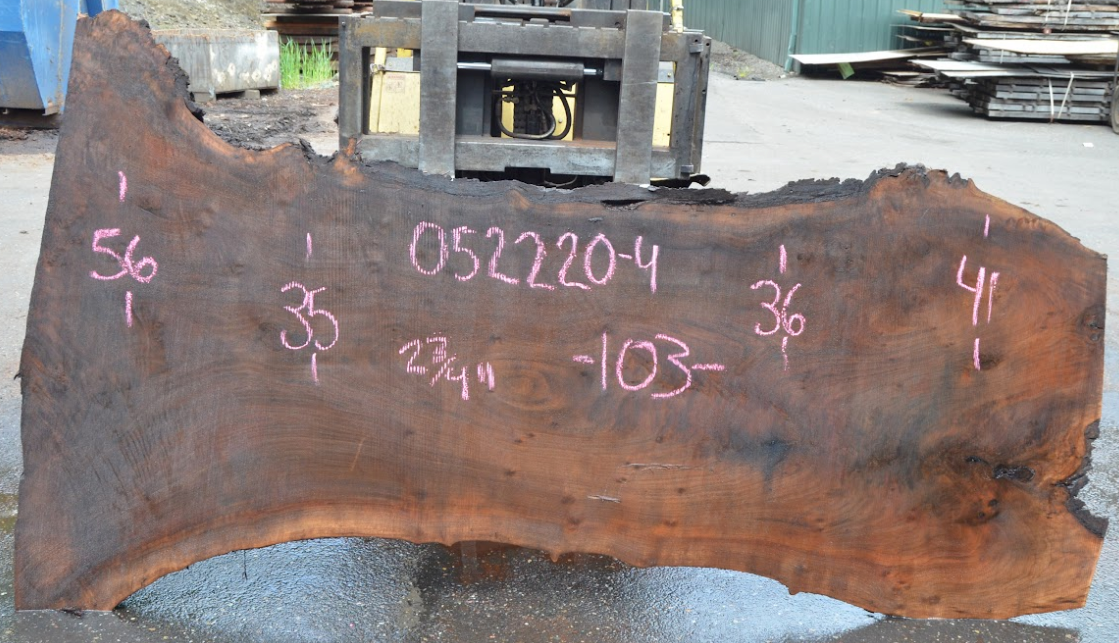 Black Walnut Live Edge #052220-4