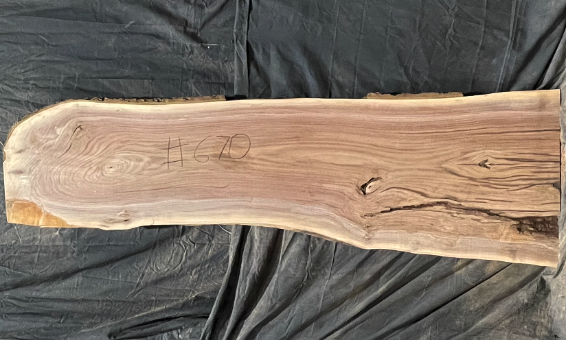 Black Walnut 8/4 Live Edge #670