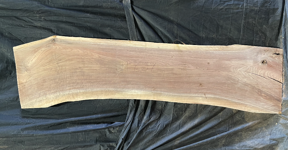Black Walnut 8/4 Live Edge #657