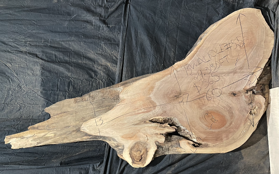 Black Walnut 10/4 Live Edge #525
