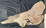 Black Walnut 10/4 Live Edge #525