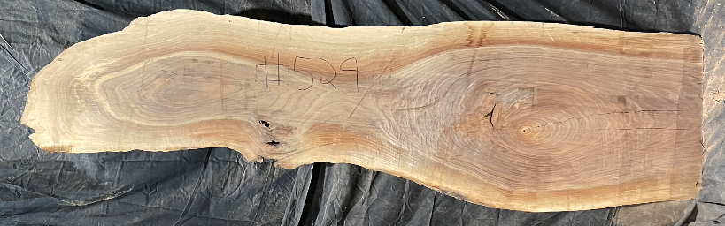 Black Walnut 10/4 Live Edge #529