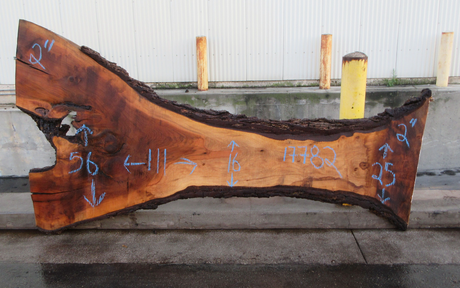 Claro Walnut Slab #17782