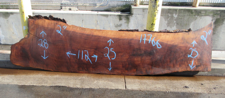 Claro Walnut Slab #17766