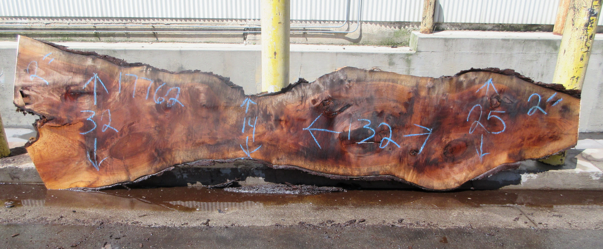 Claro Walnut Slab #17762