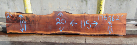 Claro Walnut Slab #17756
