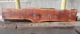 Claro Walnut Slab #17753
