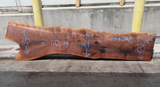 Claro Walnut Slab #17750