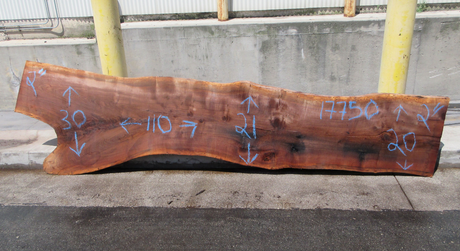 Claro Walnut Slab #17750