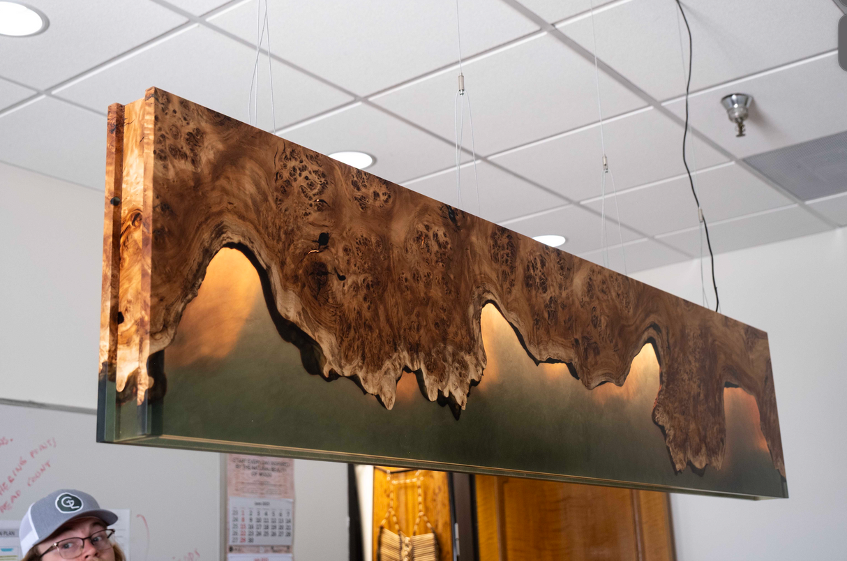 Willow Burl Light Fixture