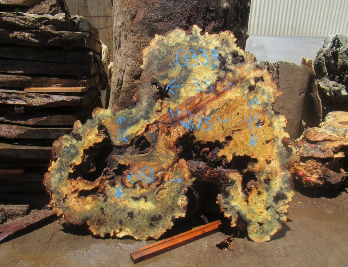 Buckeye Burl Live Edge #010