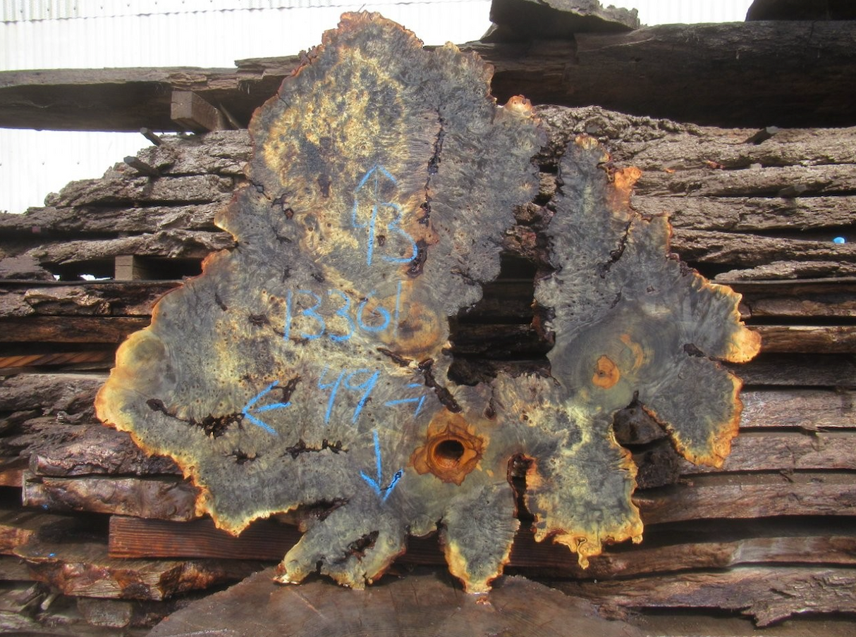 Buckeye Burl Live Edge #011