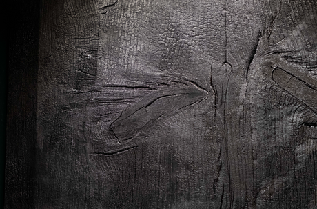 Charred Cedar Wall Panel