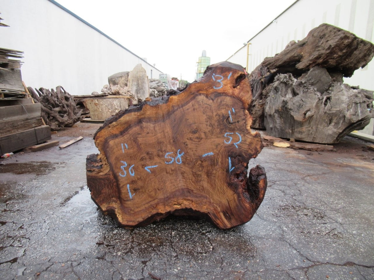 Claro Walnut 12/4 Live Edge #082