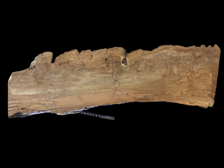 Sycamore Burl 12/4 Live Edge #008