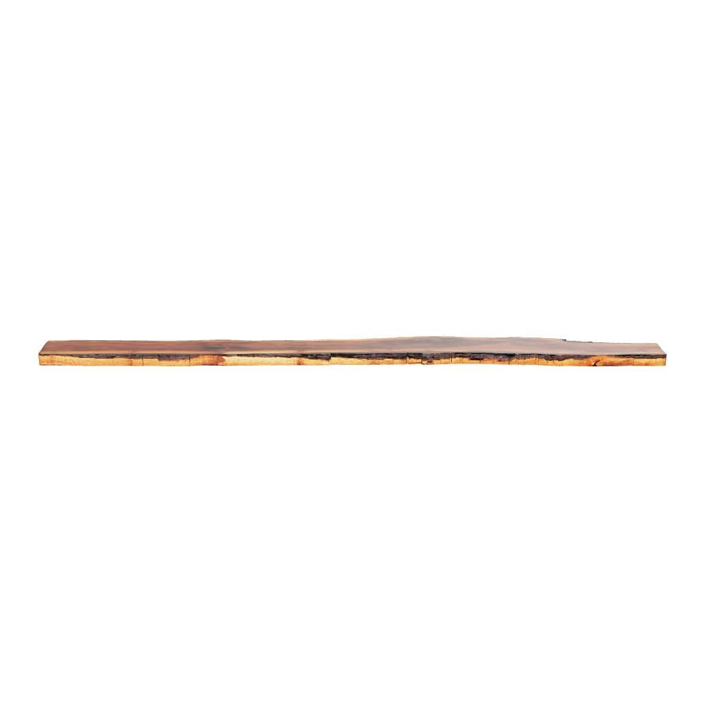 Claro Walnut Slab #17623