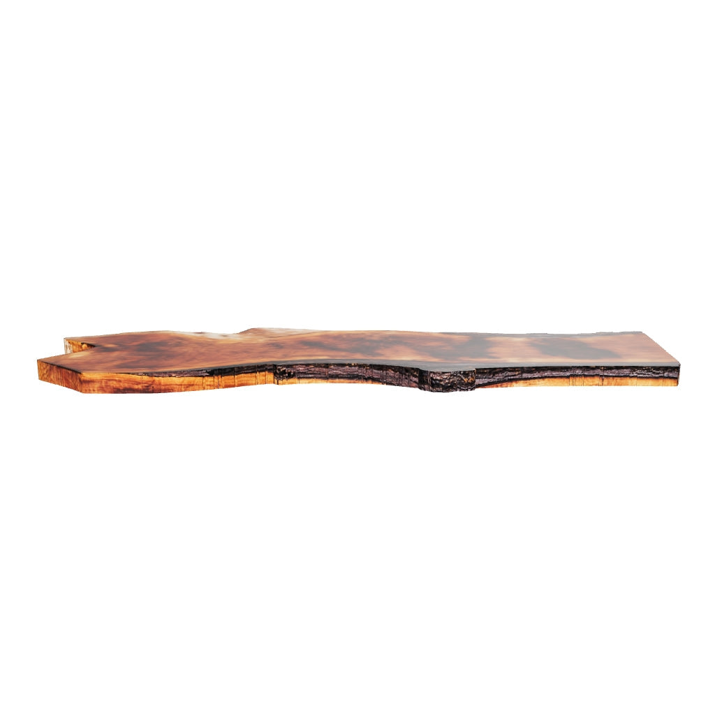 Claro Walnut Slab #17676
