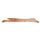 Claro Walnut Slab #17684