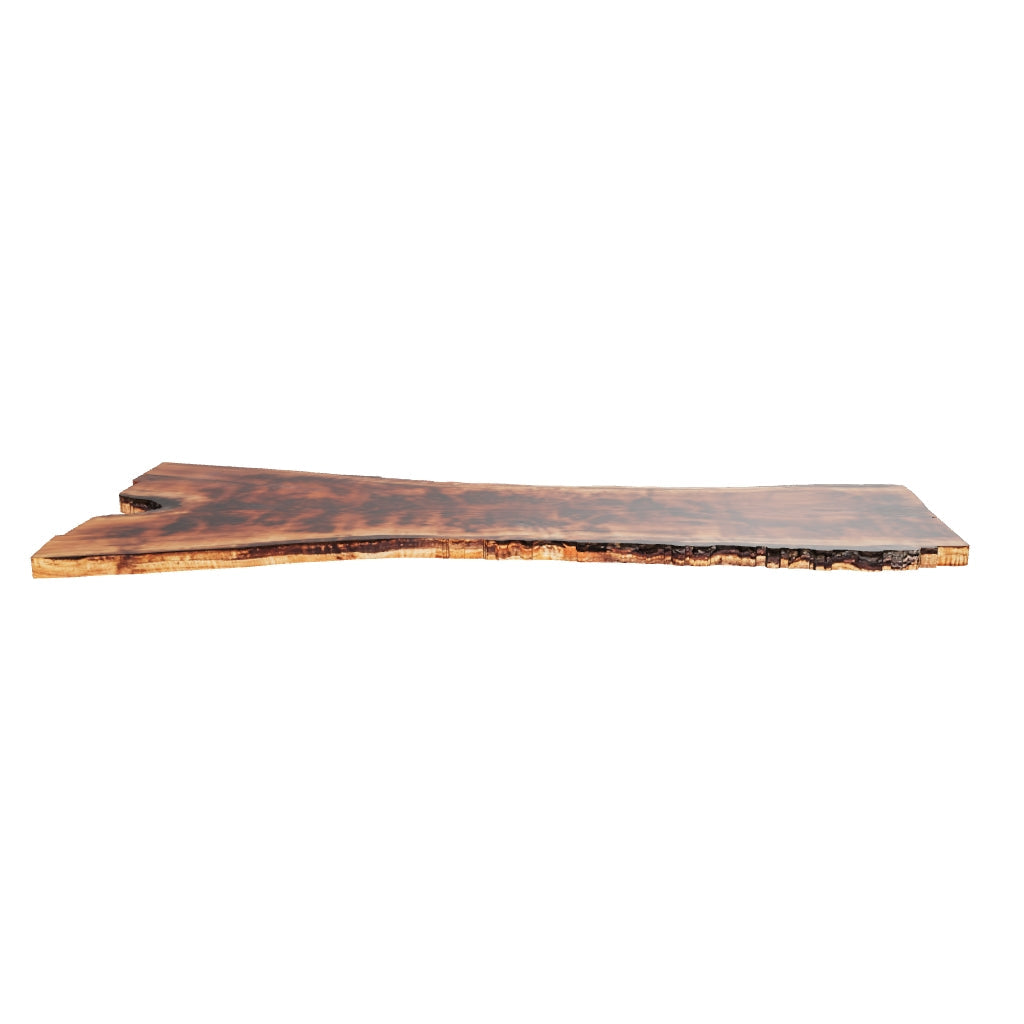 Claro Walnut Slab #17670