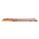 Claro Walnut Slab #17734