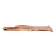 Claro Walnut Slab #17688