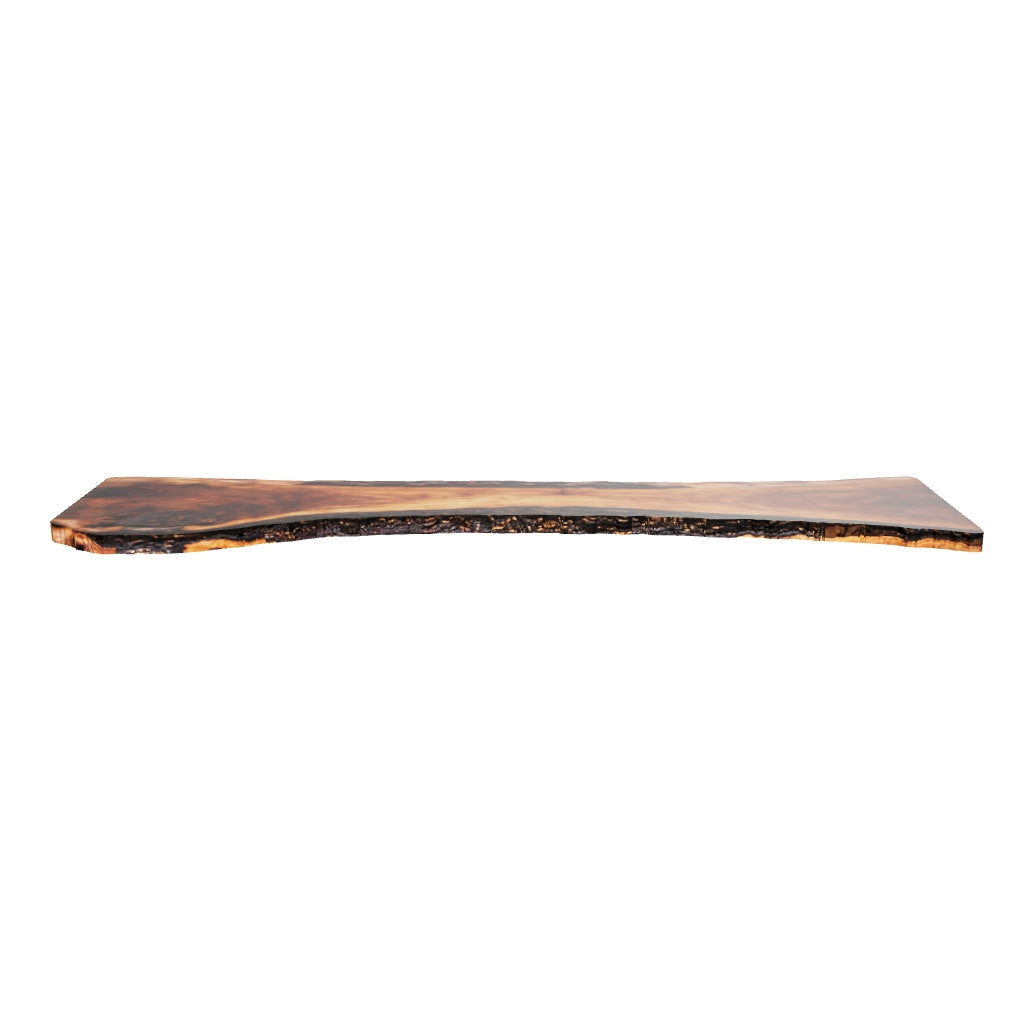 Claro Walnut Slab #17732