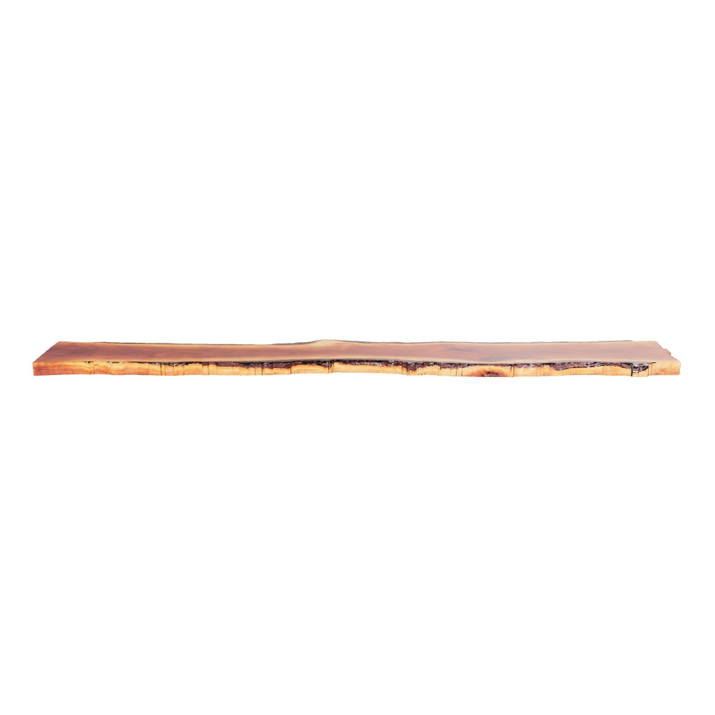 Claro Walnut Slab #17754