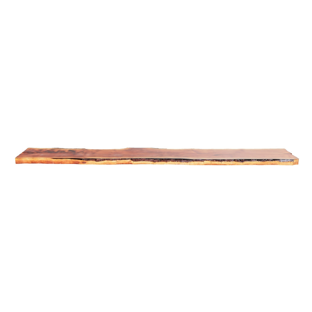Claro Walnut Slab #17756