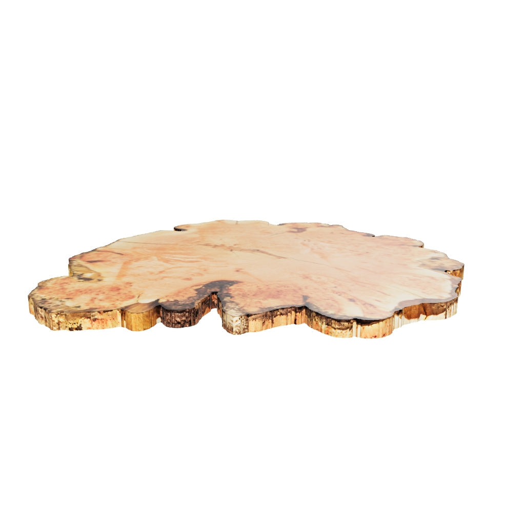 Fir Burl Live Edge #06794