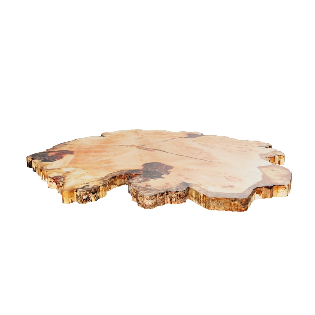 Fir Burl Live Edge #06795
