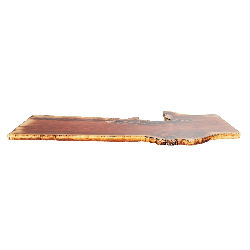 Claro Walnut Live Edge #05652