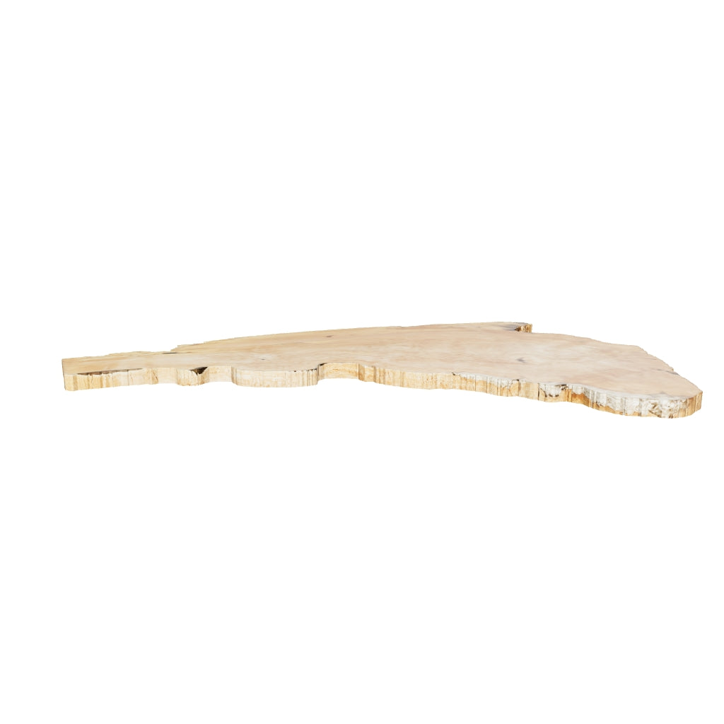 Sycamore Burl 12/4 Live Edge #004