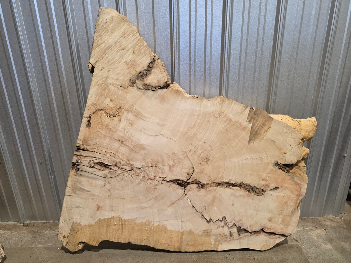 Maple, Box Elder Live Edge #021