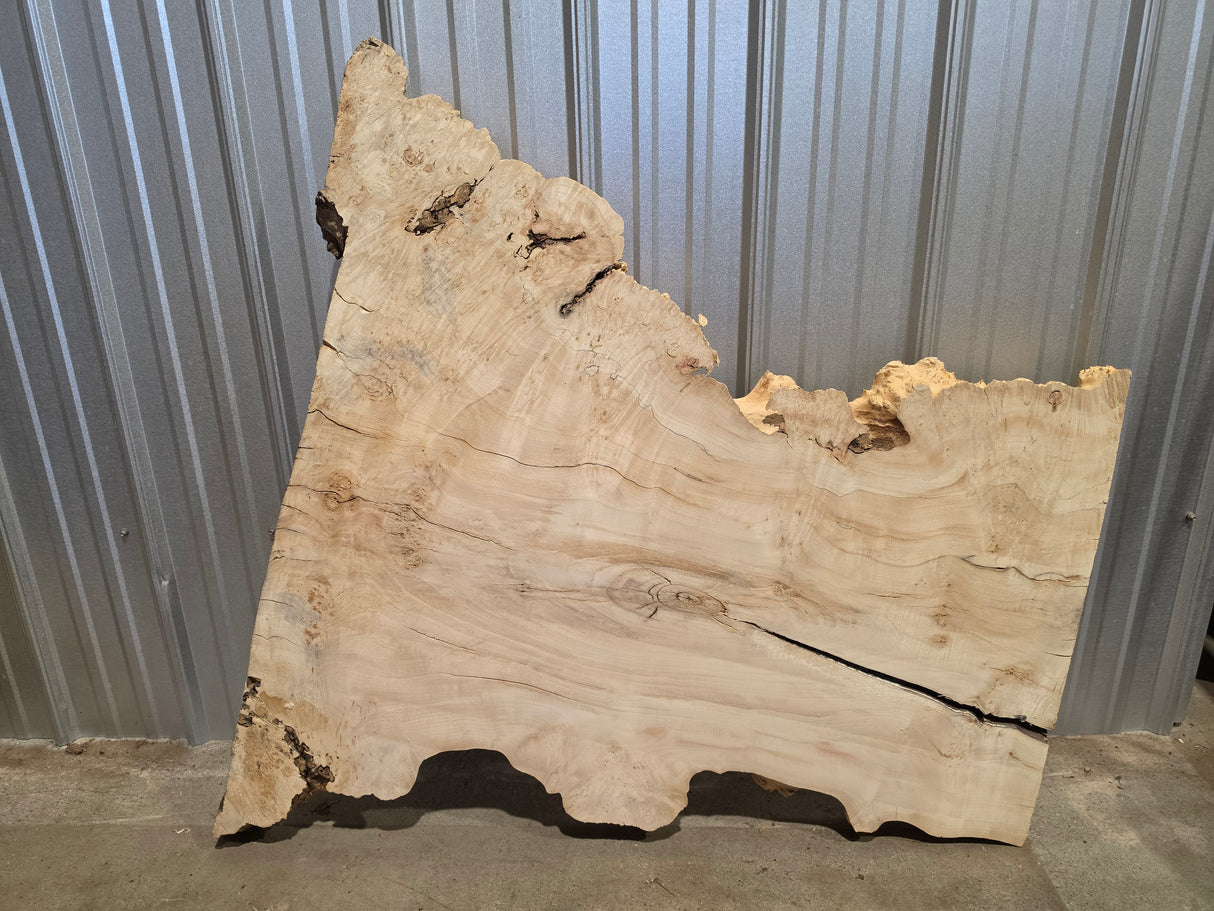 Maple, Box Elder Live Edge #020