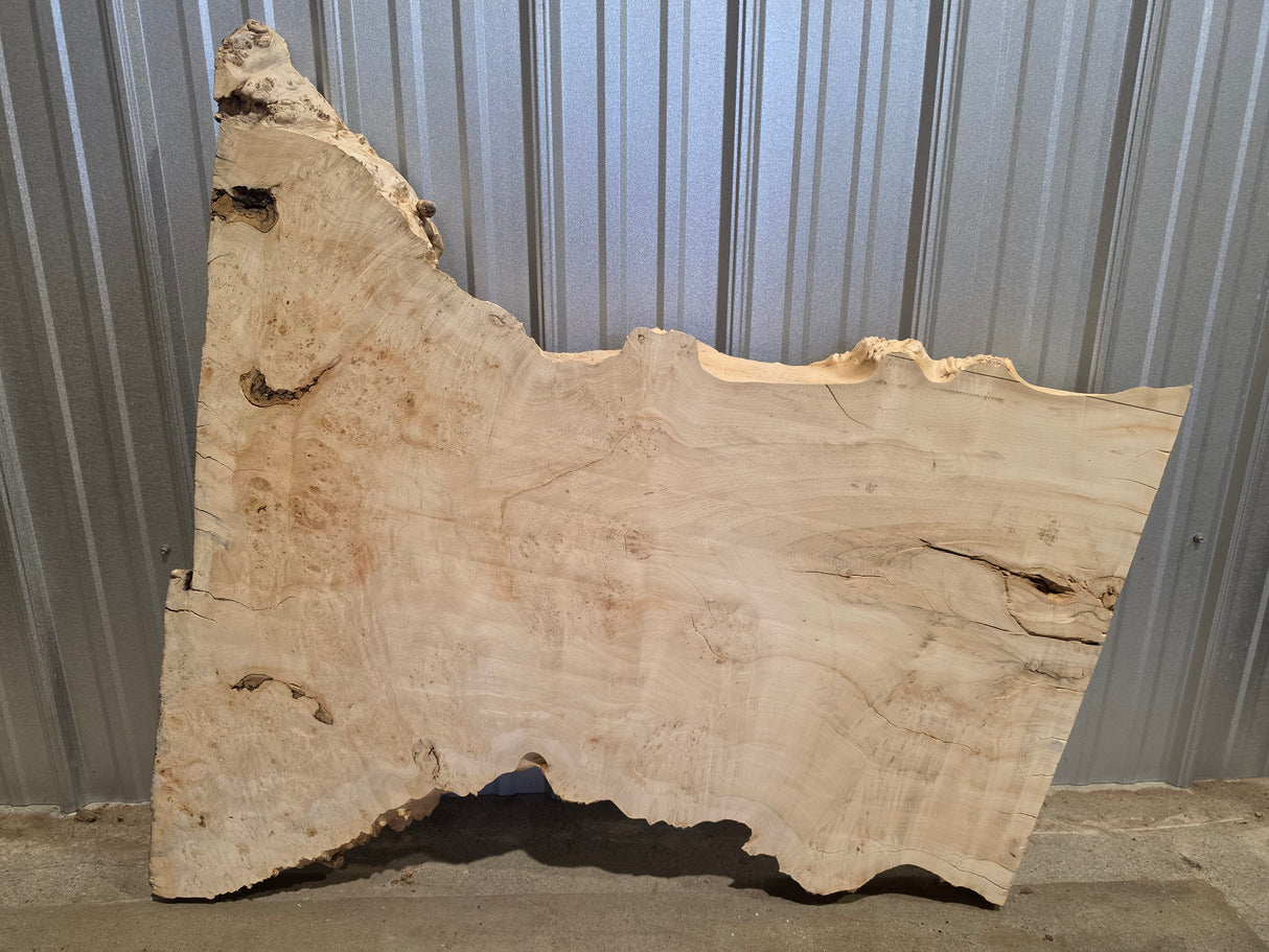 Maple, Box Elder Live Edge #019