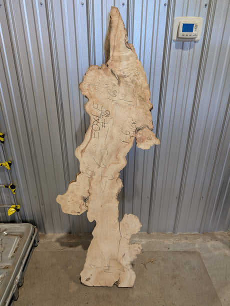 Maple, Box Elder Live Edge #016