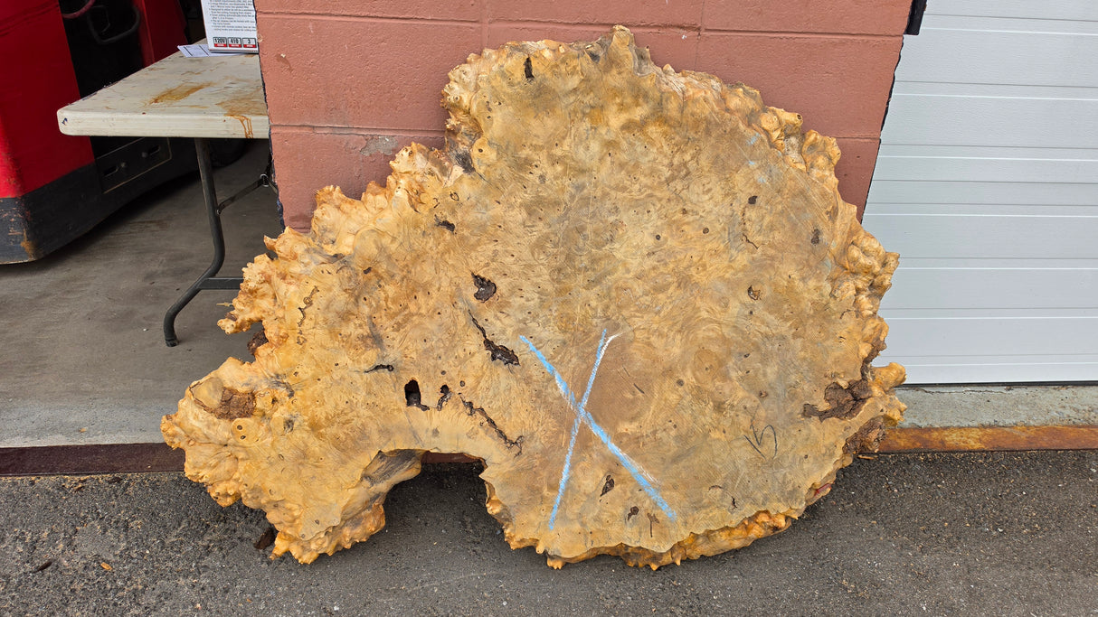 Buckeye Burl Live Edge #015