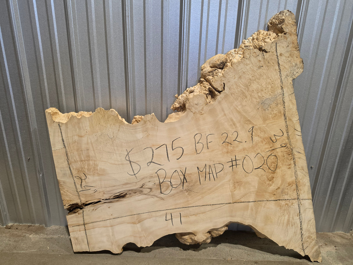 Maple, Box Elder Live Edge #020