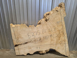 Maple, Box Elder Live Edge #020