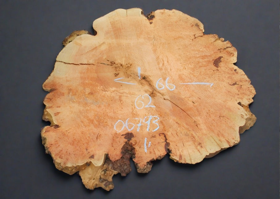 Fir Burl Live Edge #06793