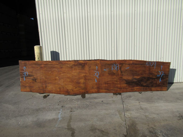 Ebony, Brown Live Edge # 10179 - Black Forest Wood Co.