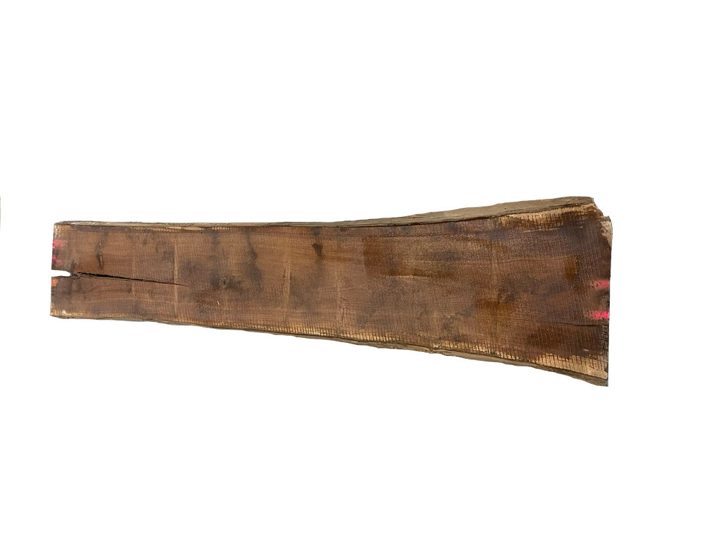 Black Walnut Live Edge #338