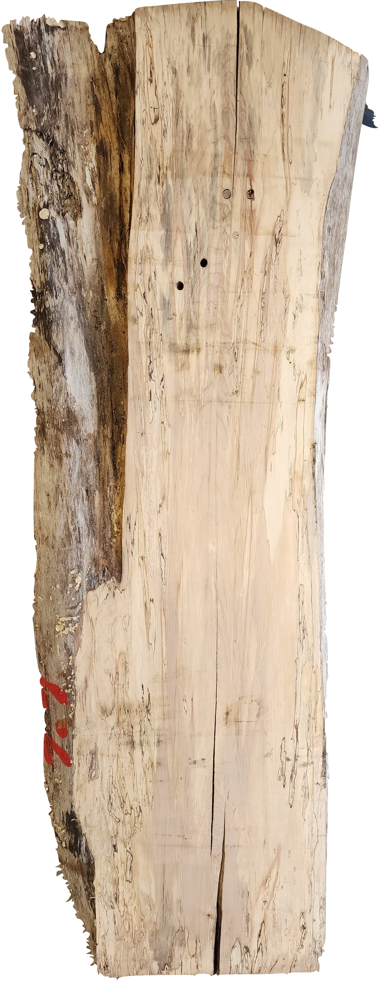 Ambrosia Maple Live Edge #007