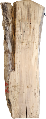 Ambrosia Maple Live Edge #007