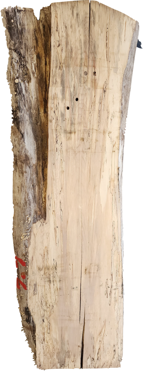 Ambrosia Maple Live Edge #007